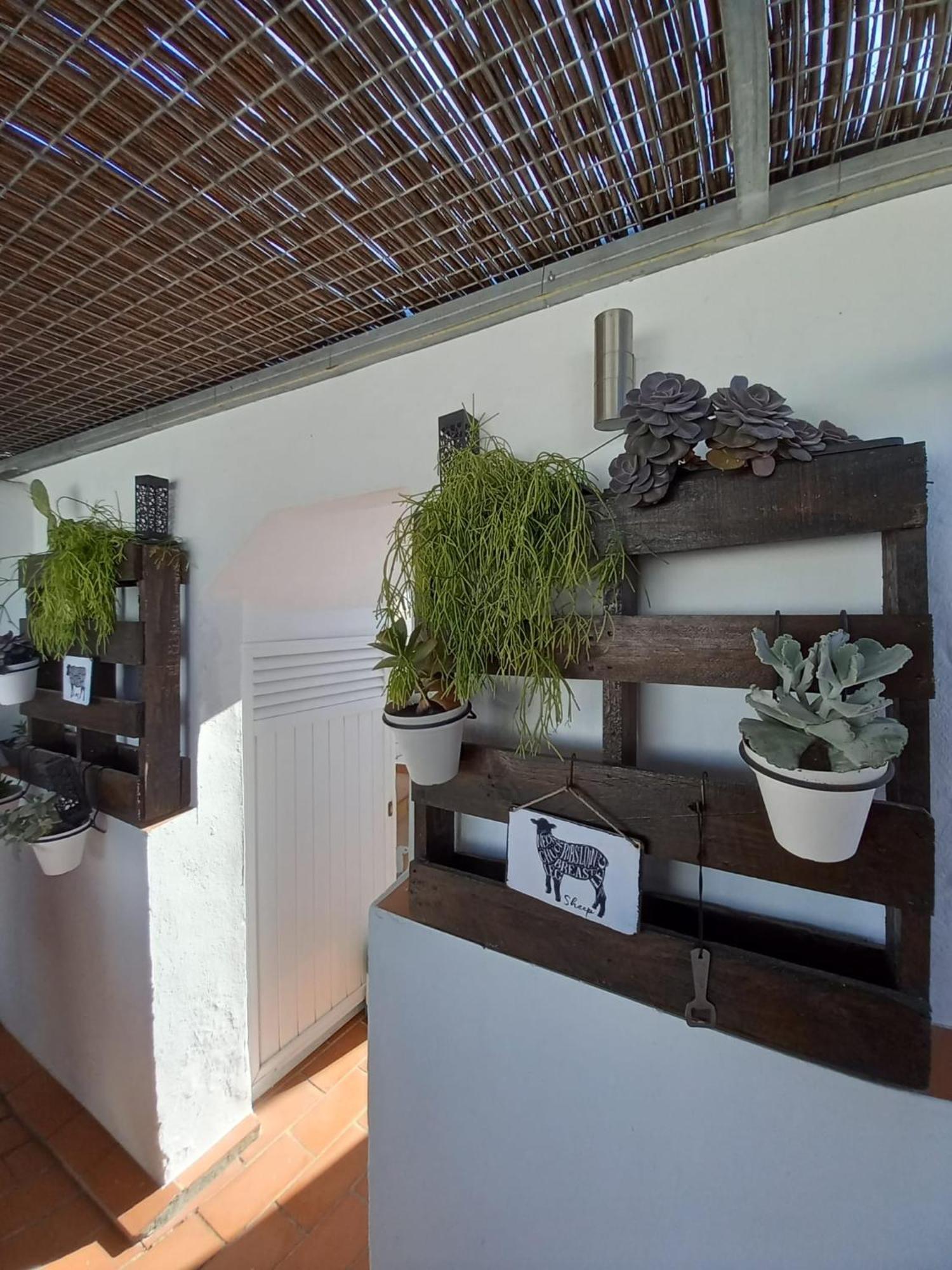 Vila Casa El Molino Conil De La Frontera Exteriér fotografie